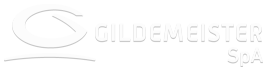 Logo Gildemeister